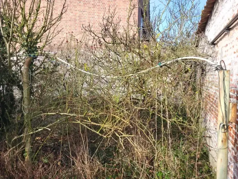 Terrassement