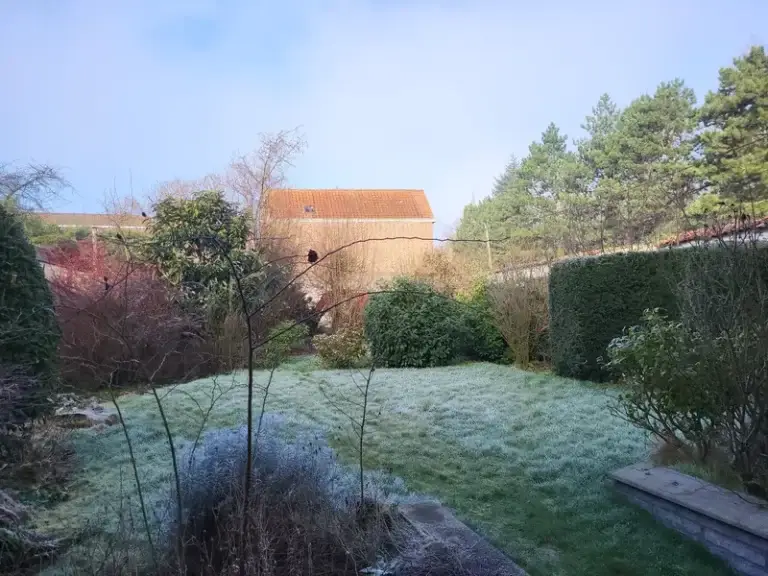 Terrassement