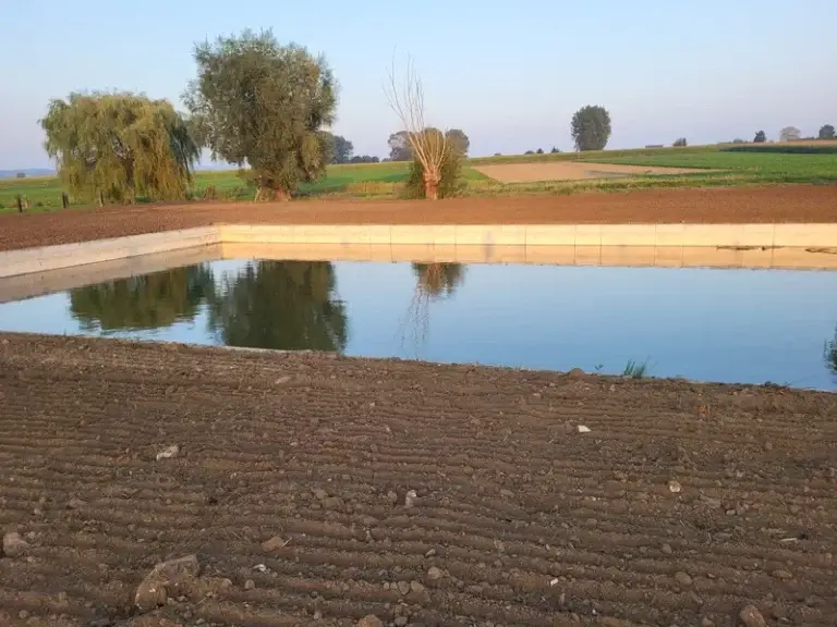 Terrassement
