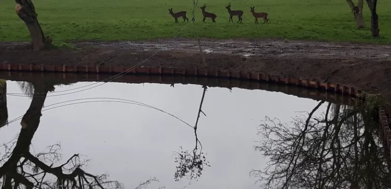 e2 Apport de terre si nécessaire.